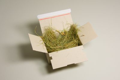 Grass Green  und Papier Produkte